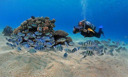 Scuba Diving in Marmaris